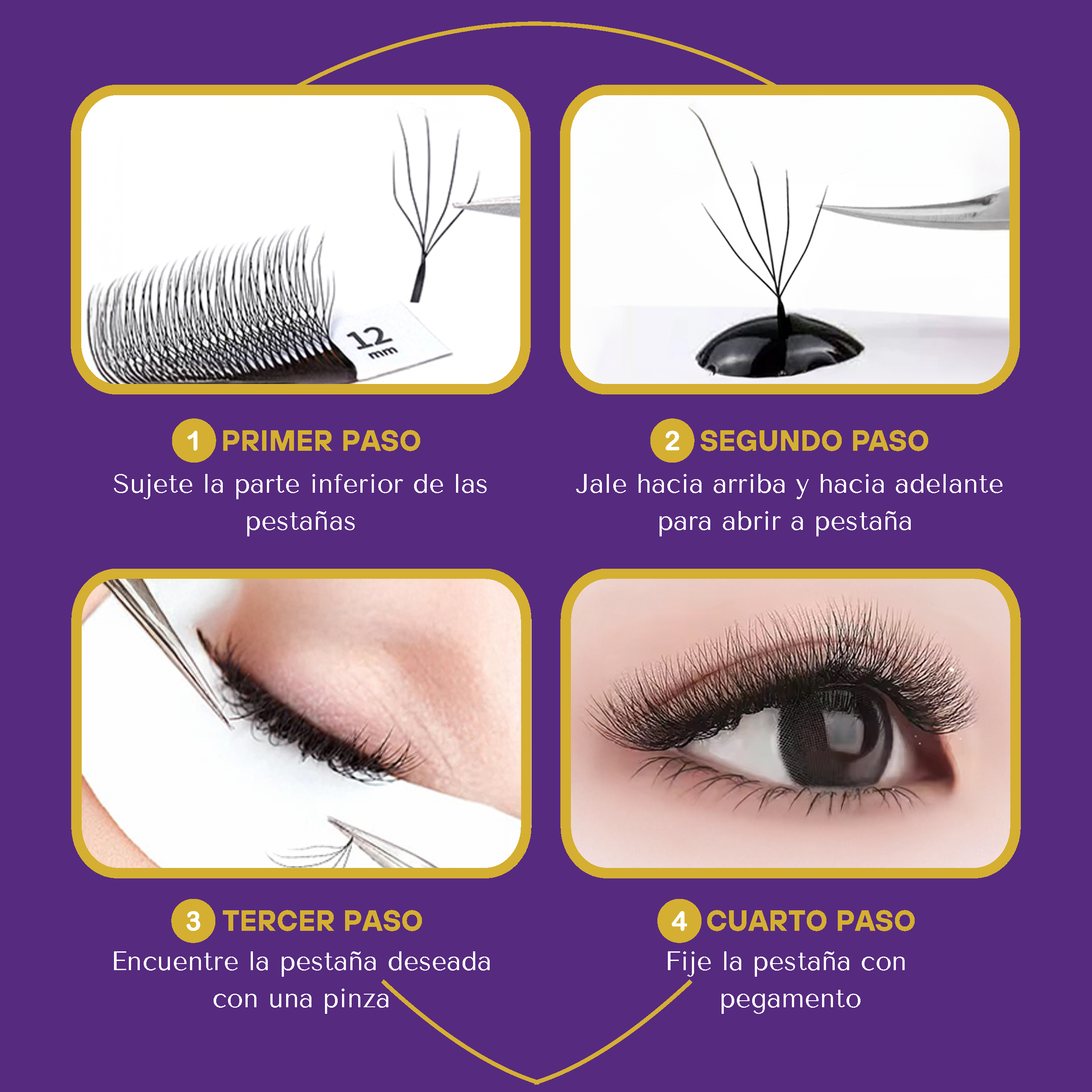 Salome Lashes