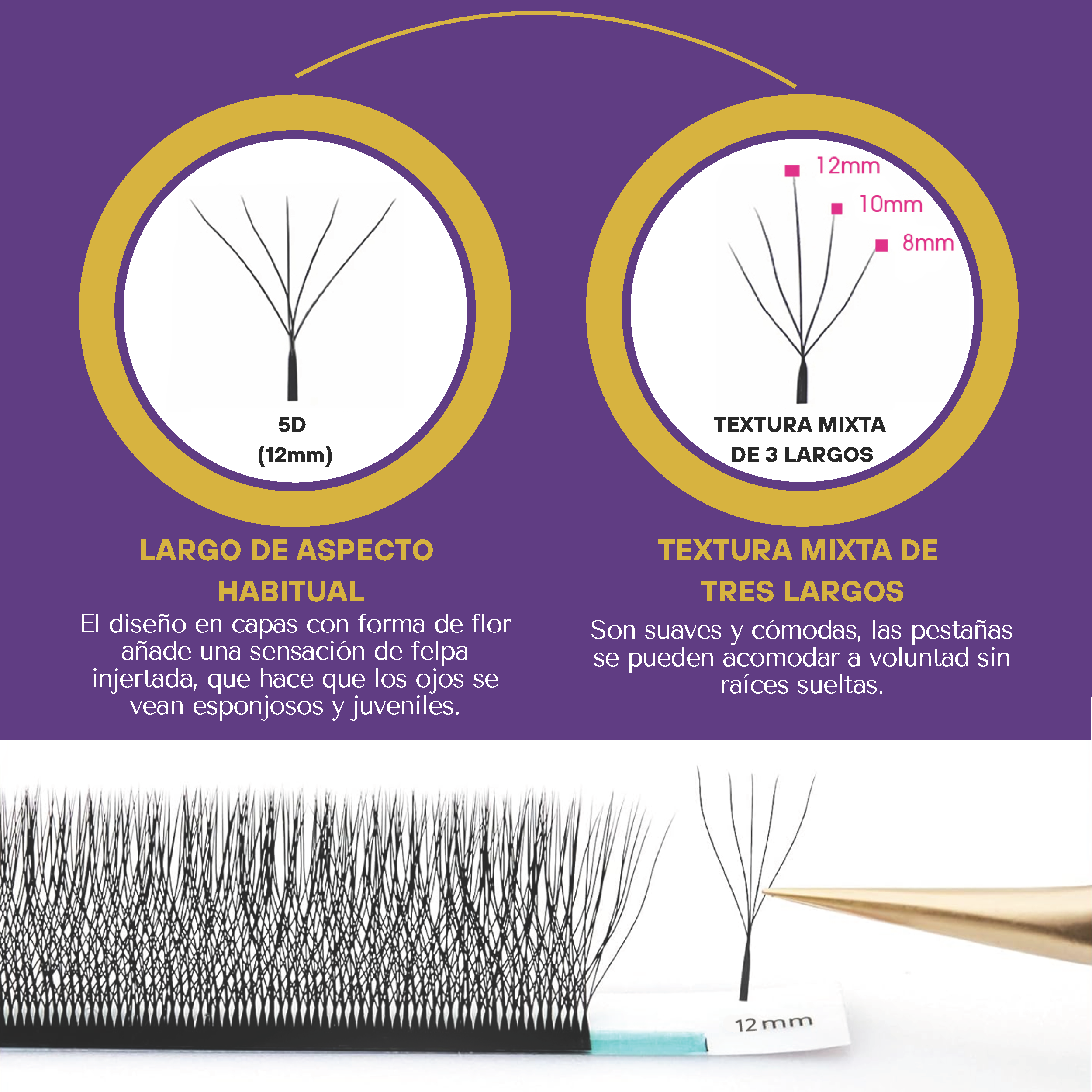 Salome Lashes