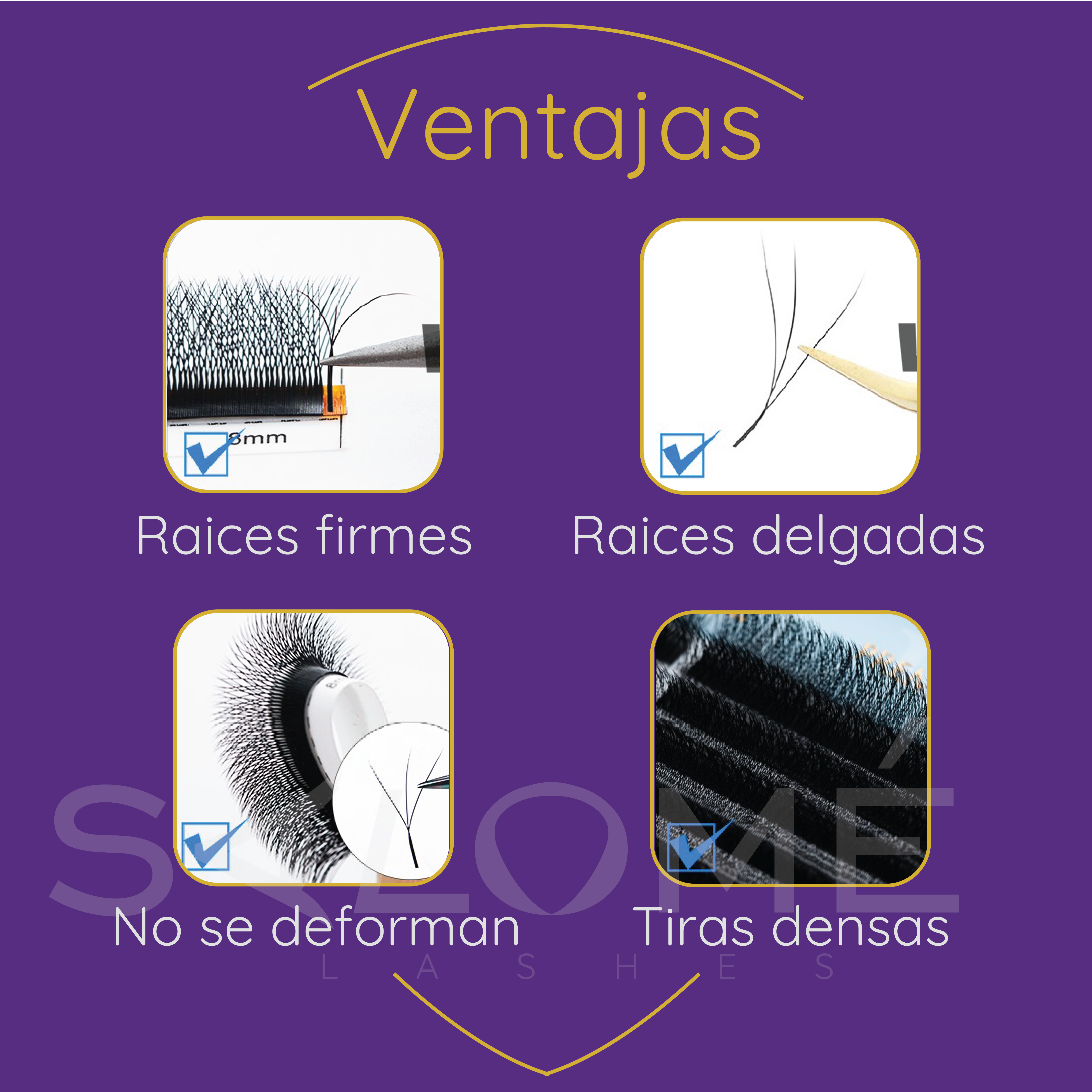Salome Lashes