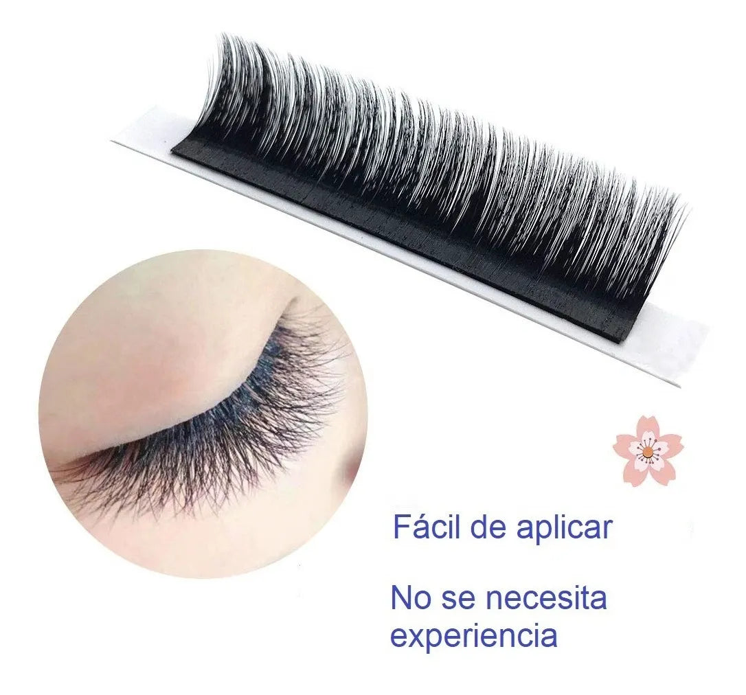 Salome Lashes