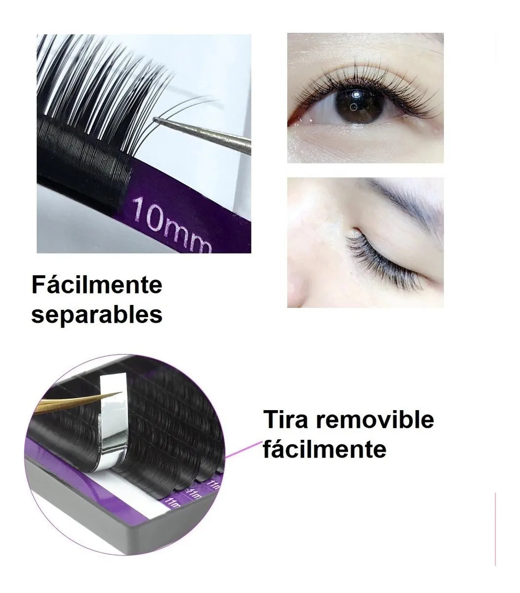 Salome Lashes