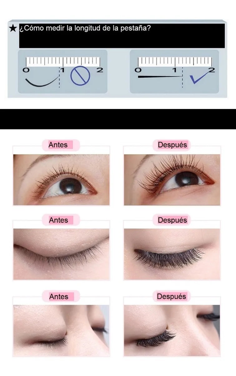 Salome Lashes