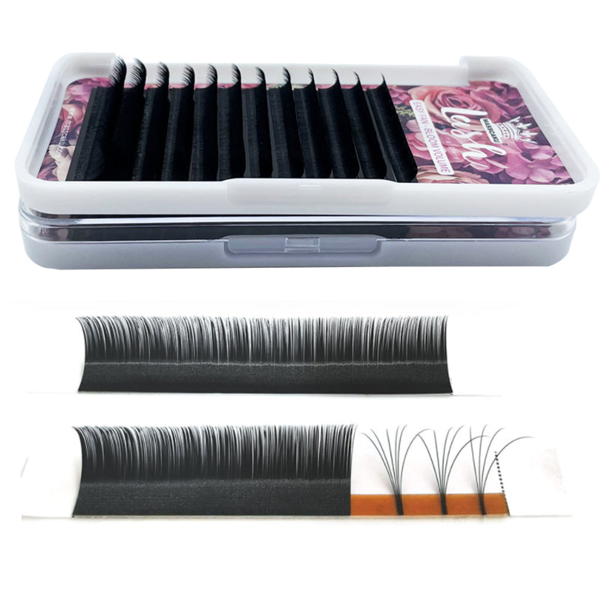 Salome Lashes