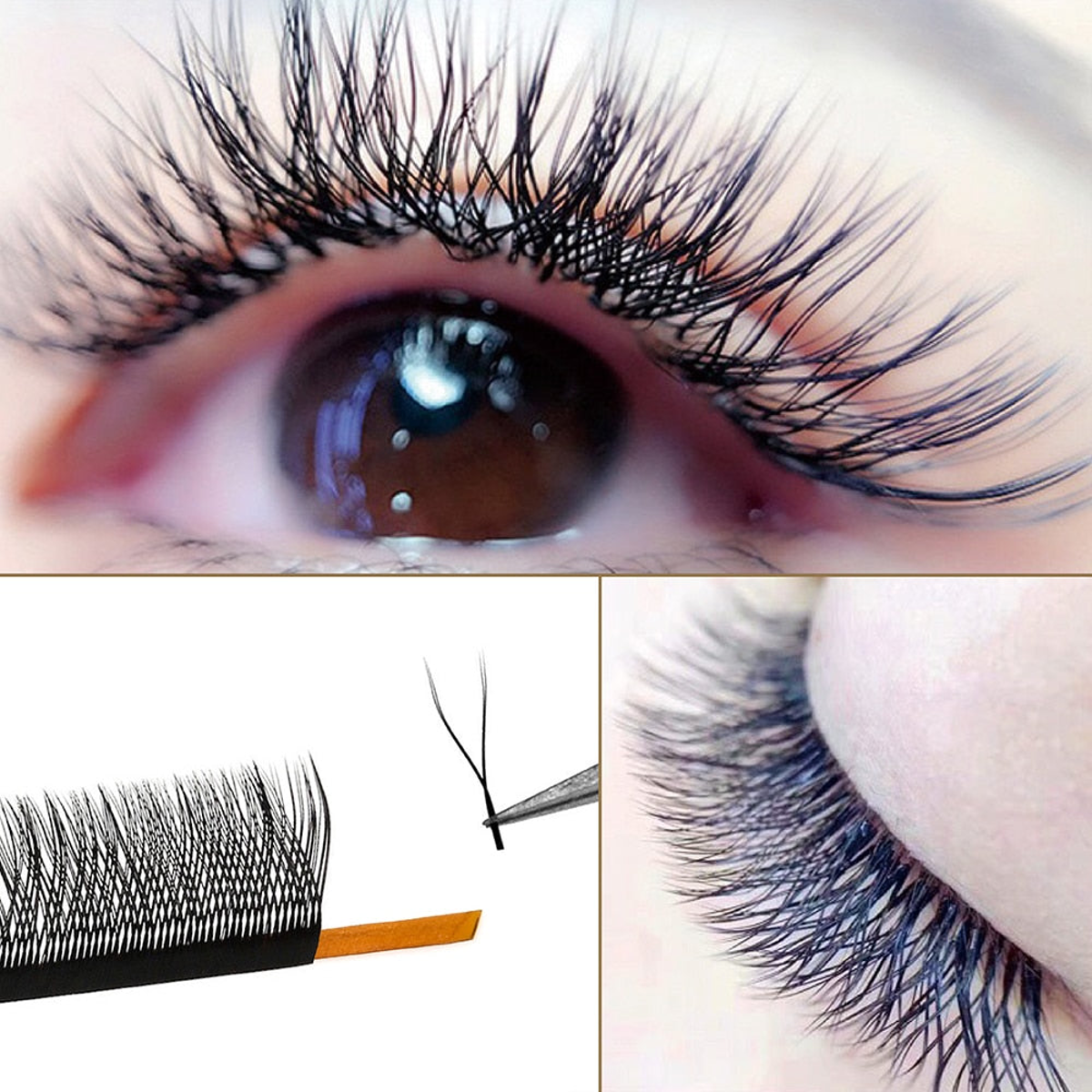 Salome Lashes