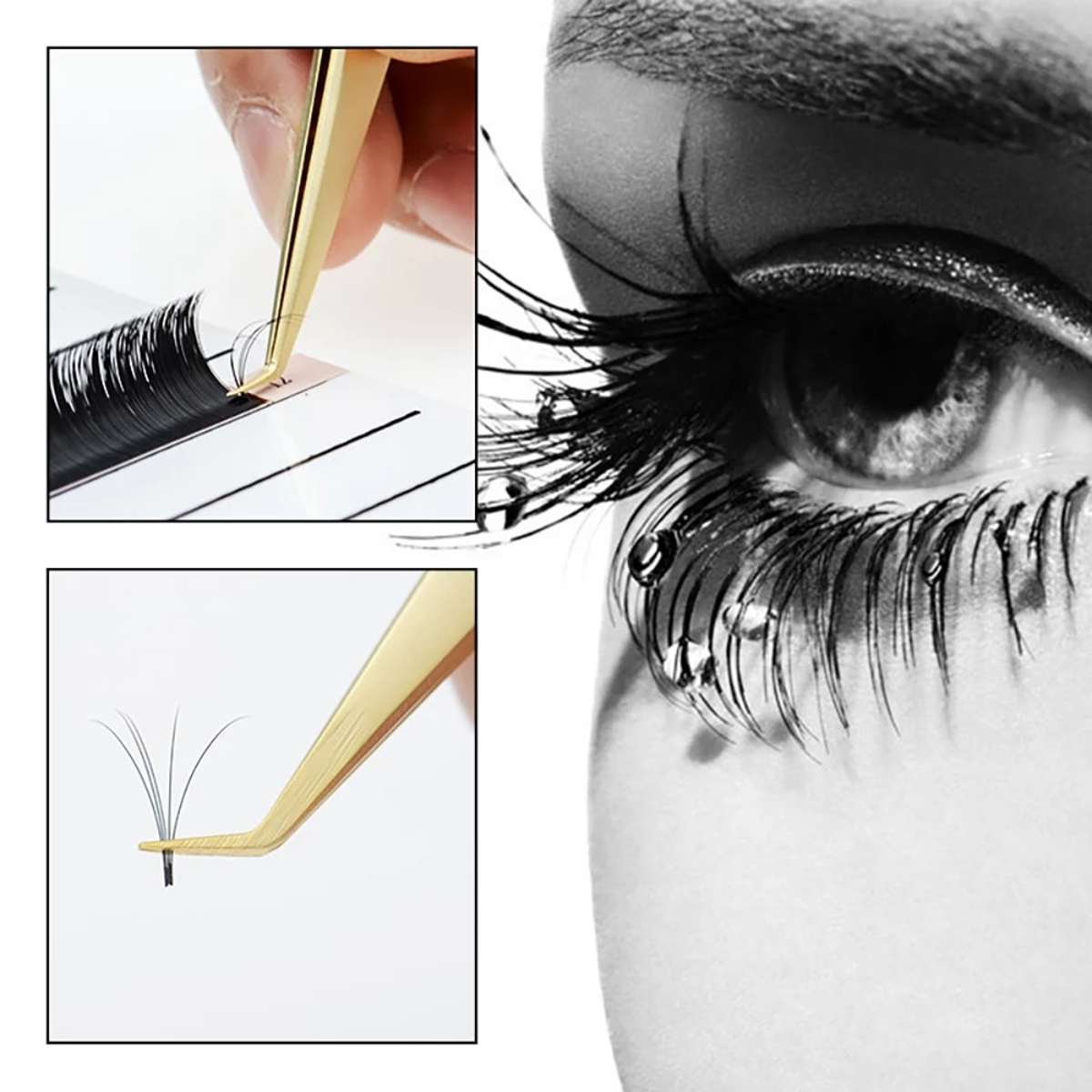 Salome Lashes